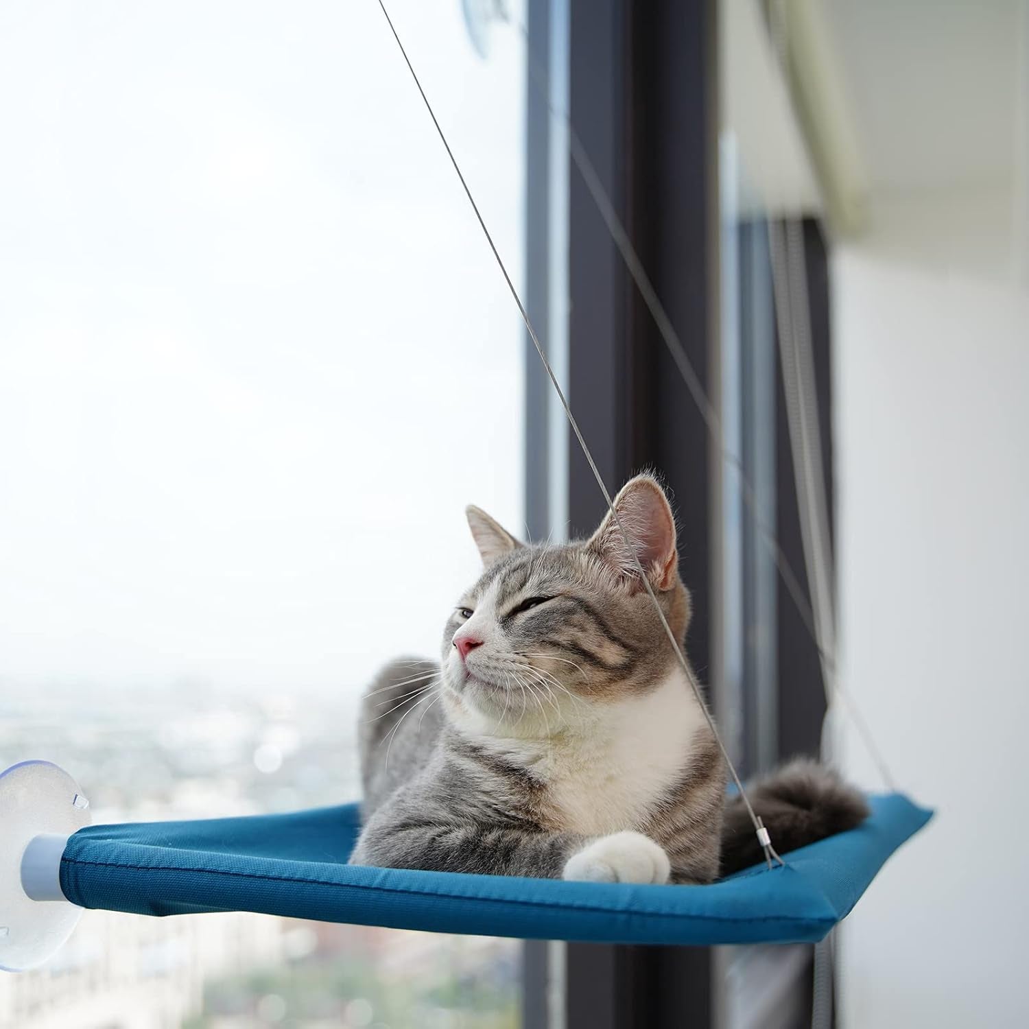Cat Hammock for Indoor Outdoor Cats
